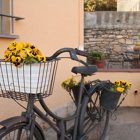 El racó del Puig Vila Banyoles Exterior foto
